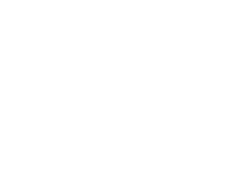 Cybiz academy